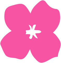 Cherry  Flowers. Cherry  Blossoms