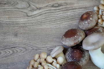 ３種類のキノコの背景画/コピースペースあり