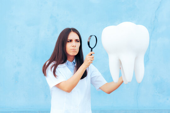 Dentist Doctor Inspecting A Molar With Magnifying Glass. Funny Dental Specialist Holding A Magnifier For Close Inspection
