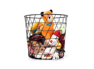 Assortment of dog toys in basket. Variety of many large stuffed plush animals, ropes and  chew bone...