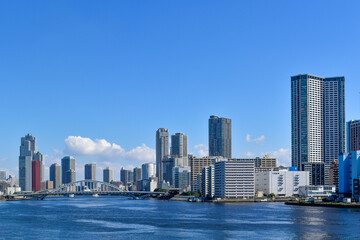 Fototapeta na wymiar 青空と青い海の間にビルと橋がある東京湾岸の景色