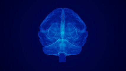 medical idea of the human brain