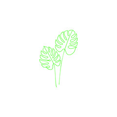 vector illustration of ornamental leaves