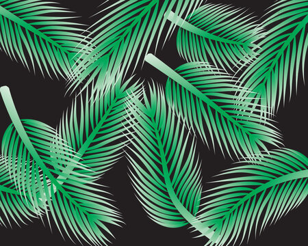 Vector illustration, pattern design palm leaf or green coconut leaf on black background.