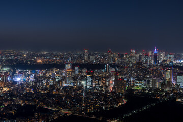 Fototapeta na wymiar Tokyo Shinjyuku area panoramic view at night. 