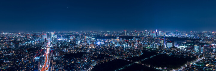 Fototapeta na wymiar Tokyo Shinjyuku and Shibuya area panoramic view at night. 