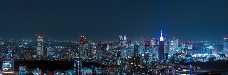 Fototapeta na wymiar Tokyo Shinjyuku area panoramic view at night. 