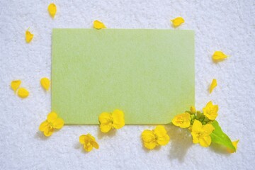 柔らかい布の白バックに黄色い菜の花と葉を飾った緑色の和紙の可愛いタイトルスペースのモックアップ