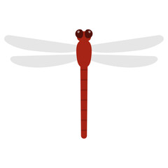 シンプルな赤トンボ