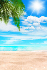 Tropical island paradise beach, green coconut palm tree leaf, sand, blue sea water turquoise ocean,...