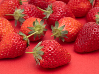 イチゴ　とちおとめ