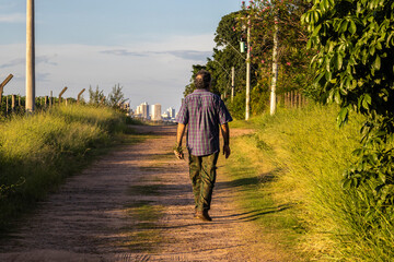 Marilia, Sao Paulo, Brazil, March 22, 2023. Middle-aged man with rosemary seedlings in hand, walks...