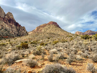 landscape in the desert