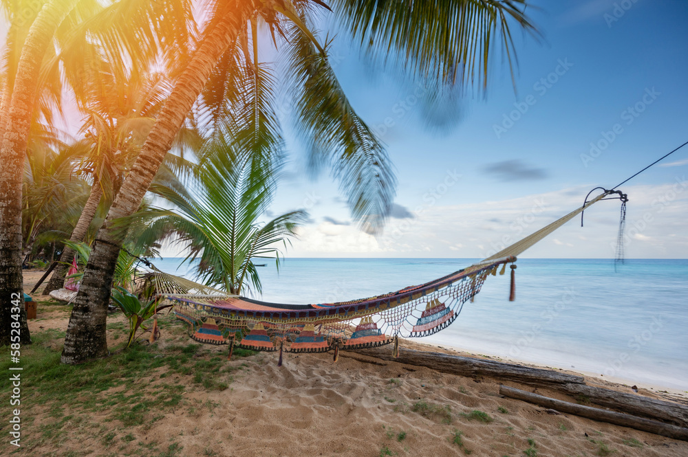 Wall mural empty hammock between palm tree