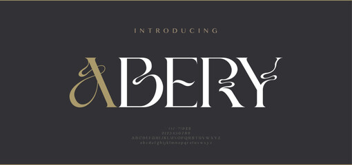 Luxury wedding alphabet font. Typography decorative elegant classic lettering serif fonts vintage retro for logo. vector illustration