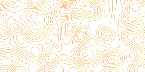 Panorama view gradient multicolor wave curve lines banner background design. Vector illustration. Line topography map contour background .Abstract Topographic map background with wave line.