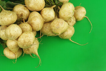 Many white turnips with leaves on green background. Copy space for text.	