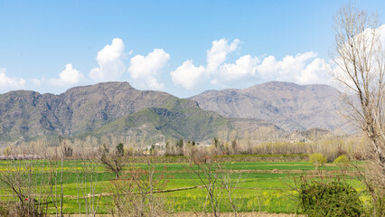 Splendid green field and blue sky with clouds on the mountain background