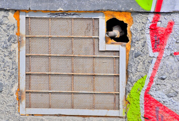 Barred basement window on a spring day