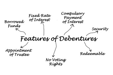  Seven Features of Debentures