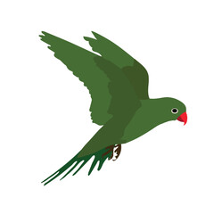 illustration of a bird