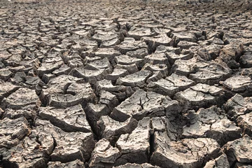 Keuken spatwand met foto Landscape ground cracks drought crisis environment background. © r_tee
