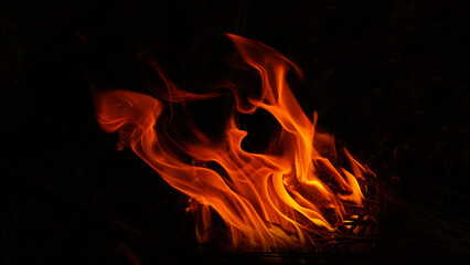 Burning wood at night The fire in the natural forest, flames and sparks on a dark background.