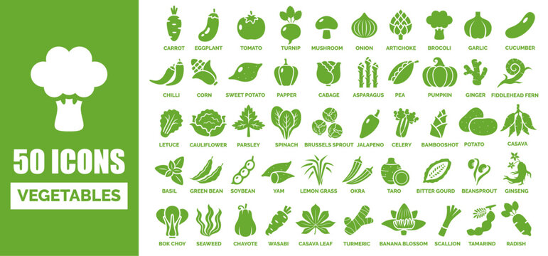 50 ICON OF VEGETABLES WITH THE NAME