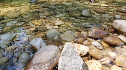 Obraz premium Nature Photography.