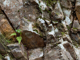 岩肌のテクスチャ
