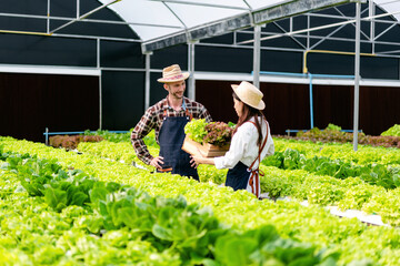 Two couple agribusiness owner farmer working and holding organic