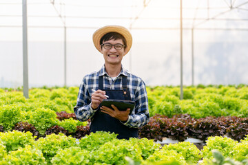 Man smart farmer holding tablet working and checking organic hydroponic vegetable quality in...