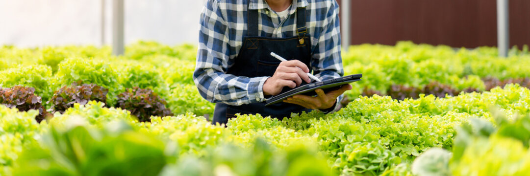 Man smart farmer holding tablet working and checking organic hydroponic vegetable quality in greenhouse plantation to preparing harvest export to sell - Powered by Adobe