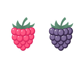 Pink and purple raspberries. Two raspberries isolated. Vector berries