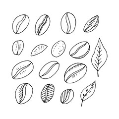 coffee beans and leaves set hand drawn in doodle style. Suitable for icons, stickers, packaging decor. minimalism, monochrome, Scandinavian