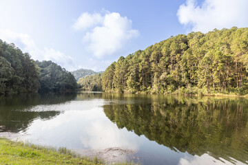 Pang Ung is a tourist attraction in Mae Hong Son, Northern Thailand with scenic alpine lake and pine trees.