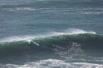 Naklejka premium A surfer ride on sea wave