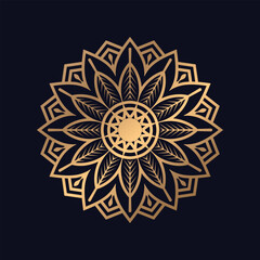 Colorful Mandalas Decorative Round Ornaments background vector