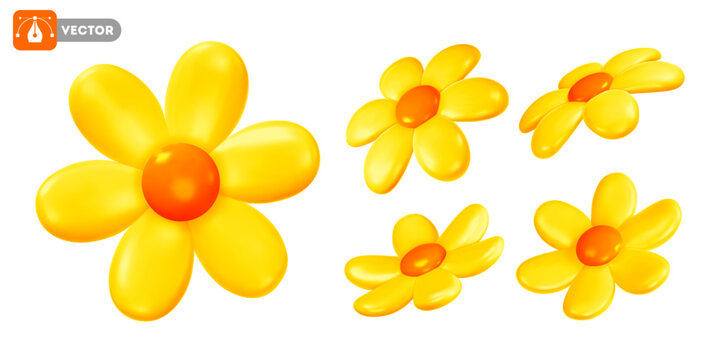 Set of daisy with yellow petals and orange centre. Volumetric chamomile flowers, view from different angles. Isolated on white background. Vector 3d realistic illustration
