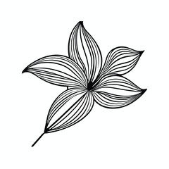Lily flowers coloring books Make Line art, hand-drawn illustrations.Perfect for creating coloring pages, coloring books, enchanting holiday invitations, and other creative projects.