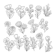 Set of flowers, spring flowers vector sketch illustration.