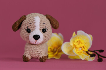 Brown little dog crocheted, handmade art. Amigurumi puppy doll on pink background with yellow orchid flowers. Soft DIY toy made of natural cotton and wool.