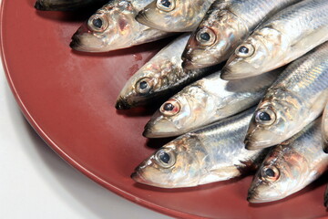Fresh sardines with lemon and parsley on a wooden board. Fresh Baltic herring