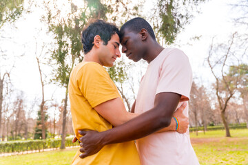 lgbt concept, couple of multiethnic men in a park in a romantic pose