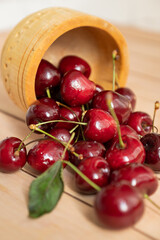 Ripe berries of sweet cherries scattered from wooden bowl