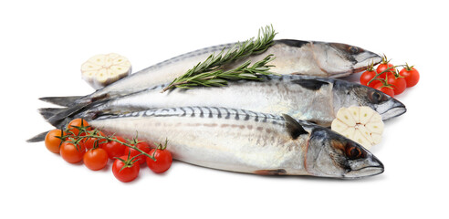 Raw mackerels, garlic, rosemary and tomatoes isolated on white