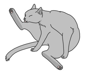 毛繕いをするグレー猫の線画