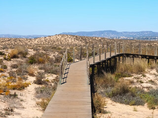 Fototapeta premium Hiking across the beautiful island of Culatra at the Algarve coast of Portugal