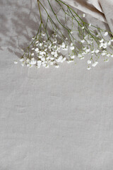Subtle delicate aesthetic floral neutral beige background with gypsophila flowers, elegant blog design, web banner template, copy space