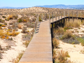 Hiking across the beautiful island of Culatra at the Algarve coast of Portugal